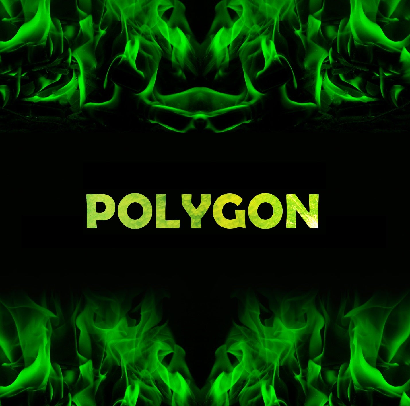 Downloads Polygon